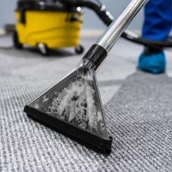 Professional Care Carpet Cleaning