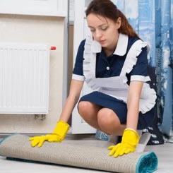 Professional Care Carpet Cleaning